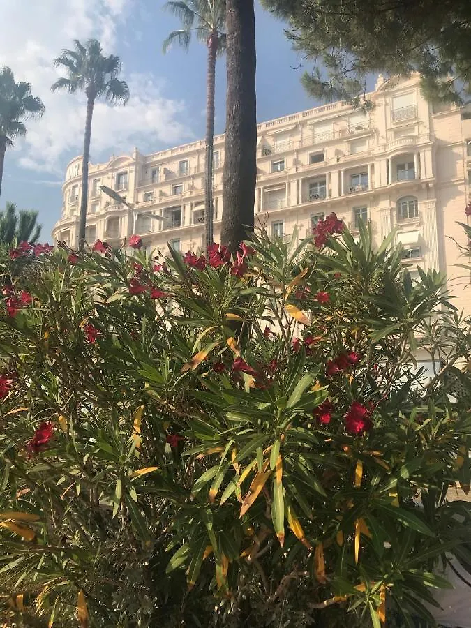 New - Cosy & Nice Apartment In Palais Miramar Cannes